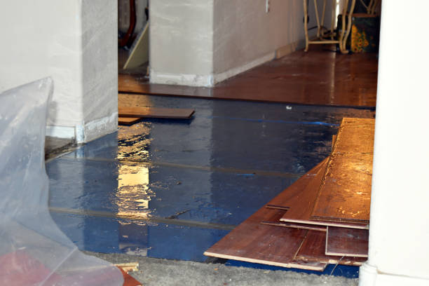 Professional Crawl Space Water Removal technician working in Needham, MA